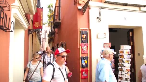 Sevilla, España Febrero 02, 2020Un grupo de turistas pasea por la ciudad sin máscaras. Virus del coronavirus peligroso en el país — Vídeos de Stock