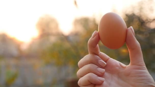 Куриное яйцо в руке. На улице. Медленное движение — стоковое видео