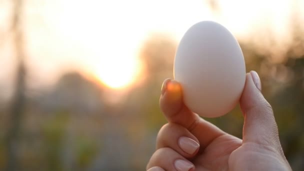 Белое куриное яйцо в женской руке. Крупный план. Медленное движение — стоковое видео
