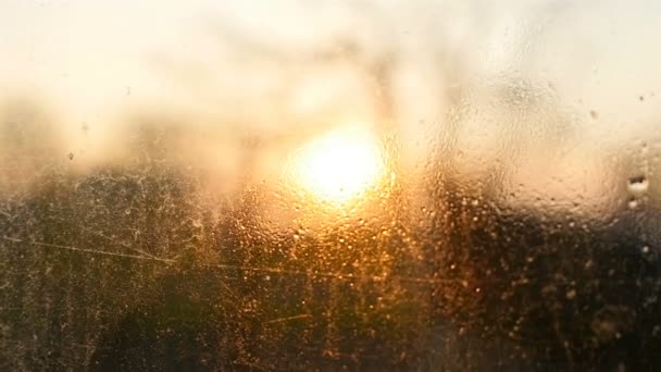 Gotas de agua en vidrio agrietado — Vídeos de Stock