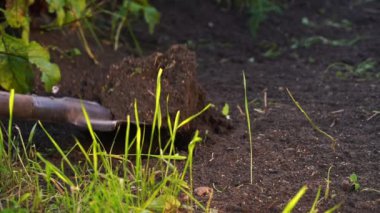 Kürek siyah toprağı kazıyor, çimenler yavaş çekimde parlıyor.