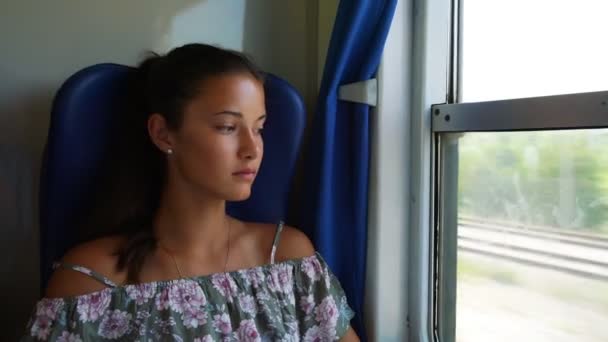 Ragazza bruna guarda attraverso la finestra del treno e prende la telefonata — Video Stock