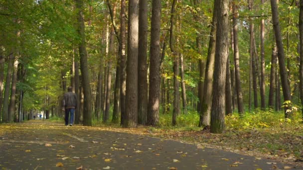 Высокий мужчина в коричневой кожаной куртке ходит по парковой дорожке — стоковое видео
