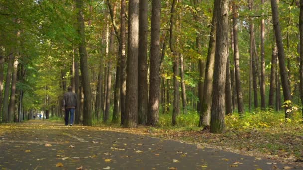 Високий чоловік в коричневій шкіряній куртці йде по парковій доріжці — стокове відео