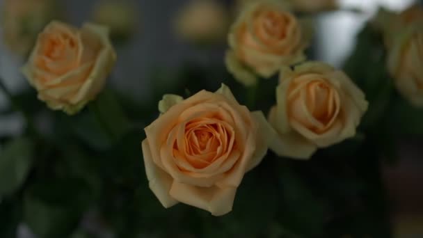 Bello tenero mazzo di rose beige e gialle fiorisce — Video Stock