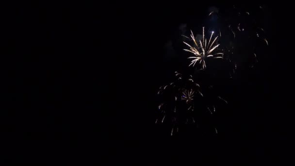 Пальмовый фейерверк с длинными каскадными звездами взрывается медленным движением — стоковое видео