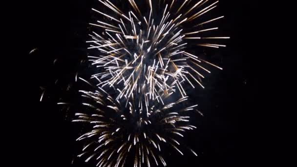 Fuochi d'artificio salice esplodono con sentieri dorati rallentatore — Video Stock