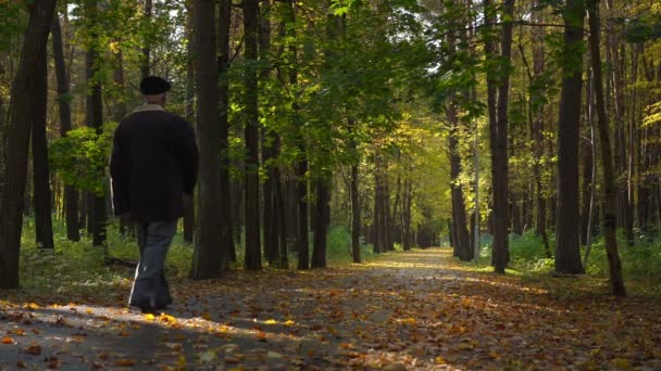 Gepensioneerde man draagt zwarte jas wandelingen langs brede park pad — Stockvideo