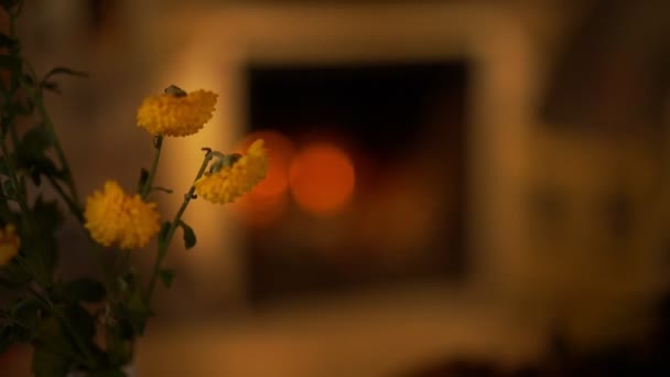 Hübsche gelbe Chrysanthemen mit grünen Blättern — Stockvideo