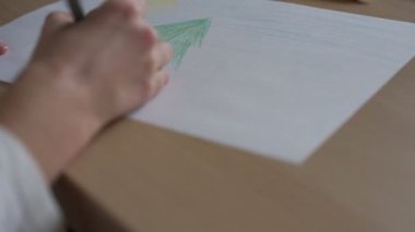 Beyaz gömlekli kız yeşil çam ağacını yakından çekiyor.