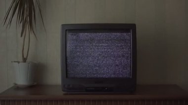 Çekmecede duran saksı çiçekleri tarafından ayarlanmış bozuk televizyon flaşları