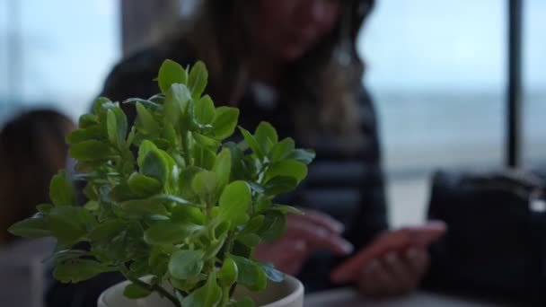 Размытая женщина в черных чатах онлайн с помощью телефона цветок горшок — стоковое видео