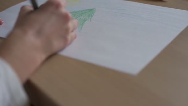 Girl in white shirt draws accurately green pine tree closeup — Stock Video