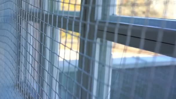 Movimento passado playroom janela com proteção net closeup — Vídeo de Stock