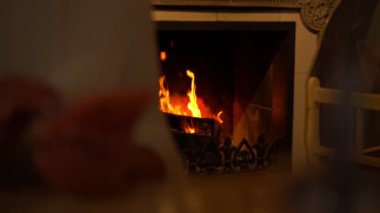 Odunlar şöminenin içinde siyah metal kafesle yanıyor.