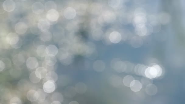 Superficie d'acqua sfocata brilla alla luce del sole bokeh sfondo — Video Stock