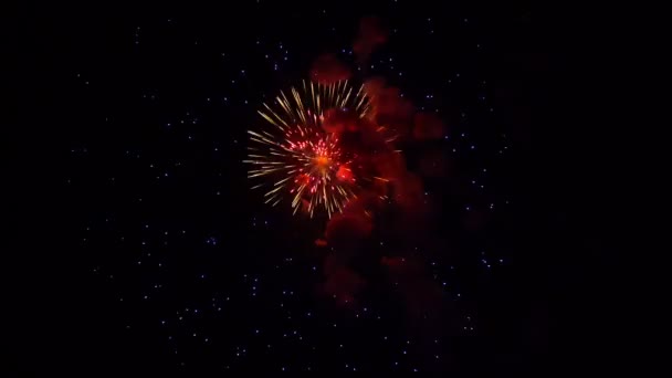 Saule et pivoine feux d'artifice explosent en cascades gros plan — Video