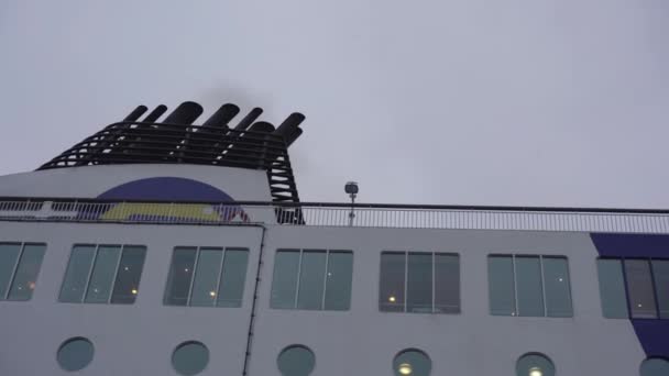 Meeuwen vliegen over Helsinki Tallinn veerboot met lichten in ramen — Stockvideo