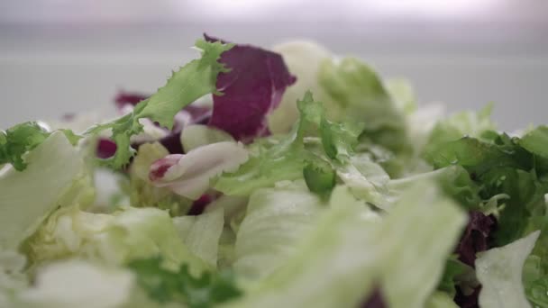 Repollo rojo picado y hojas de lechuga se encuentran en el primer plano del plato — Vídeo de stock