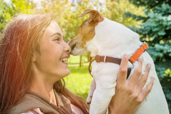 A menina está segurando seu cão favorito Jack Russell Terrier e ki — Fotografia de Stock