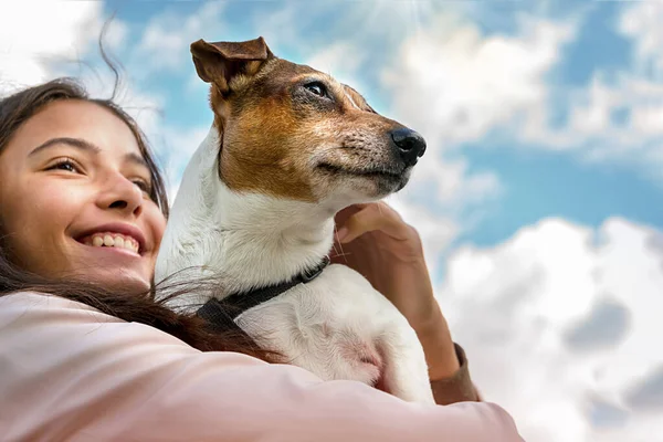 Girl holding a dog jack russell terrier, blue sky and sun backgr — 스톡 사진