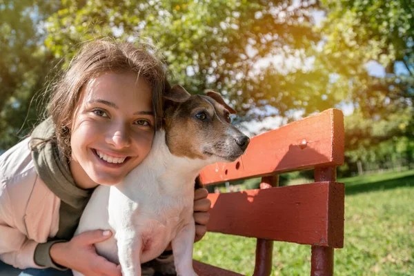 Köpek Jack Russell Terrier ve bankta oturan genç kız