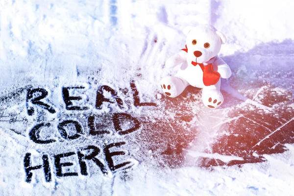 Buz ve ayı yazıtları çok soğuk.