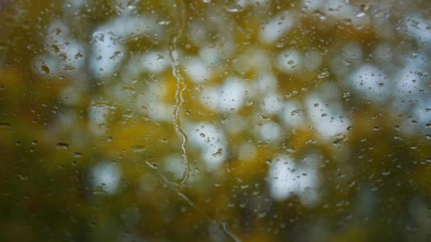 Gotas de chuva caem no vidro da janela contra árvores embaçadas — Vídeo de Stock