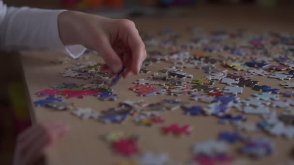 Intelligent girl wearing white shirt gathers puzzle closeup — 비디오