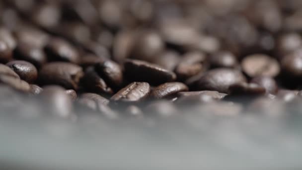 Robuste Kaffeebohnen zur Herstellung duftender leckerer Getränke — Stockvideo