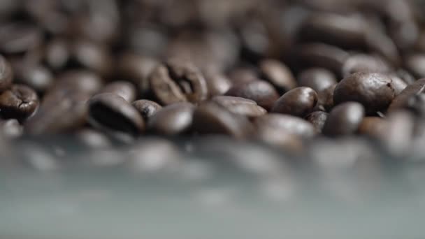 Brown arabica beans for making refreshing drink fall macro — Stockvideo