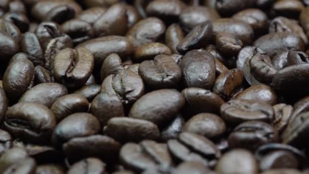Frisch geröstete Kaffeebohnen bei Lampenlicht extreme Nahaufnahme — Stockvideo