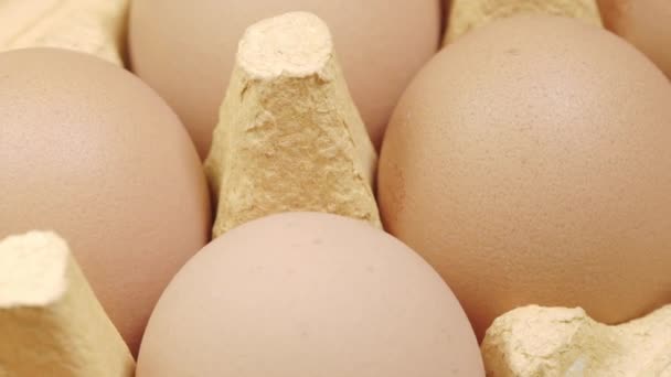 Свіжі курячі яйця в контейнері при яскравому легкому макросі — стокове відео
