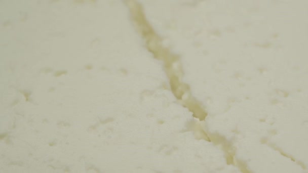 Rotation över färsk ostmassa ost vid starkt ljus makro — Stockvideo