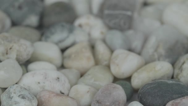 Farklı şekilli gri ve beyaz çakıl taşları. — Stok video