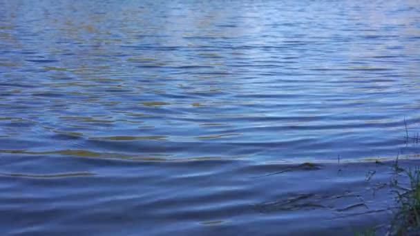 Río azul brillante con pequeñas olas y reflejo de luz — Vídeo de stock