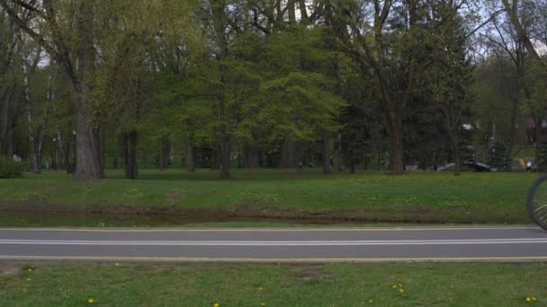 Sportiga människor cykla längs särskild väg i parken — Stockvideo