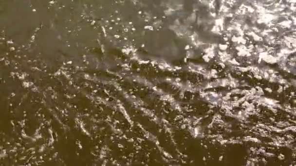 Água suja do lago com pequenas ondas e espuma reflete a luz solar — Vídeo de Stock