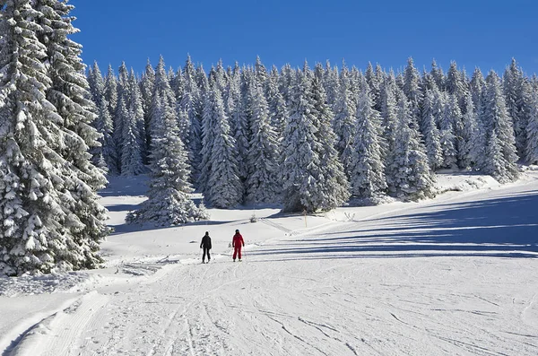 Esquí de montaña en un día soleado, estación de esquí de montaña Kopaonik, Serbia, paisaje de montaña de invierno — Foto de Stock