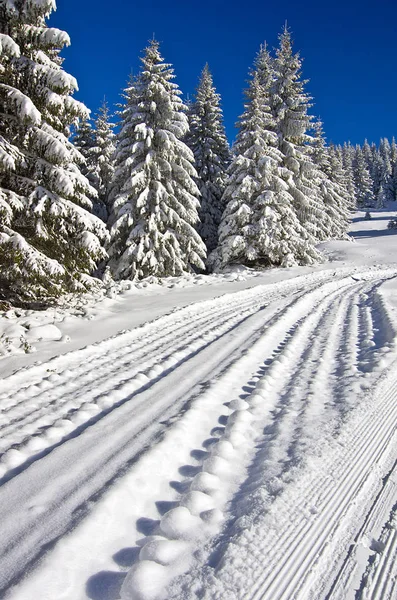 güneşli bir günde, dağ Kayak Merkezi Kopaonik, Sırbistan kış ormanda izlemek