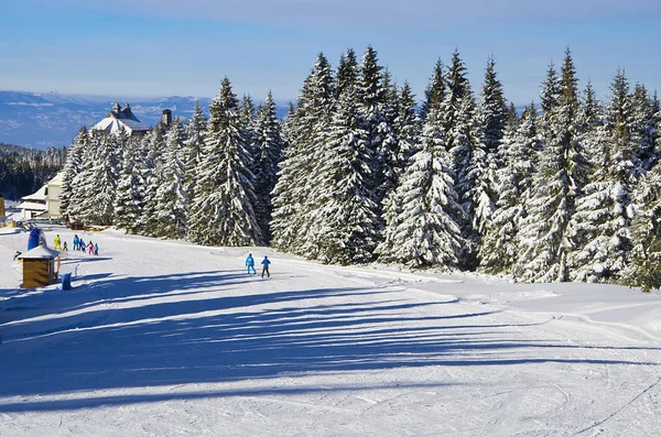 Mountain ski slope on a sunny day, Mountain ski resort Kopaonik, Serbia, winter mountain landscape — Stock Photo, Image