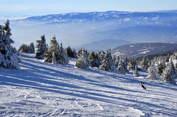 Esquí de montaña en un día soleado, estación de esquí de montaña Kopaonik, Serbia, paisaje de montaña de invierno — Foto de Stock