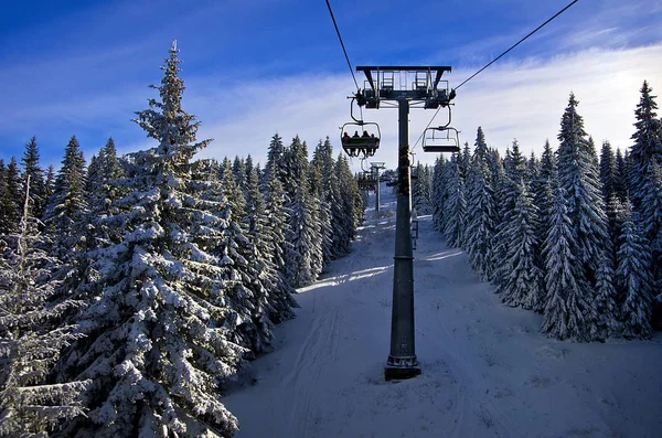 Kabelspoorweg in winter forest Mountain skigebied Kopaonik, Servië — Stockfoto