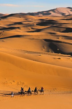 Develer çöl, Sahara, Fas Seyahat