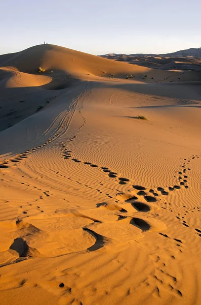 Paisaje del desierto, desierto del Sahara, Marruecos — Foto de Stock