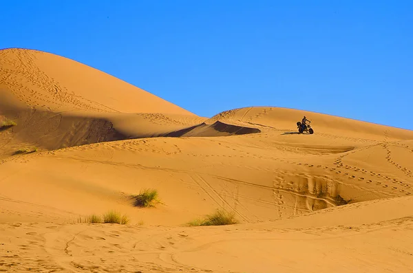 Huellas en la arena, desierto del Sahara, Marruecos — Foto de Stock