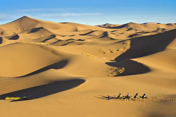 Viaje en camellos en el desierto, Sahara, Marruecos — Foto de Stock