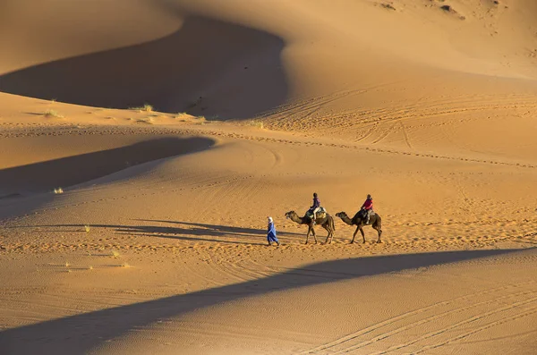 Develer çöl, Sahara, Fas üzerinde çift