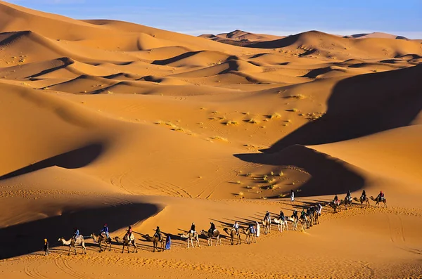 Viajar en camellos en el desierto, Sahara, Marruecos — Foto de Stock