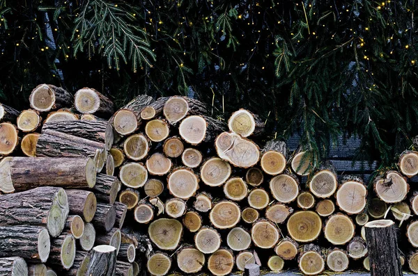 Stack of firewood and spruce branches — Stock Photo, Image